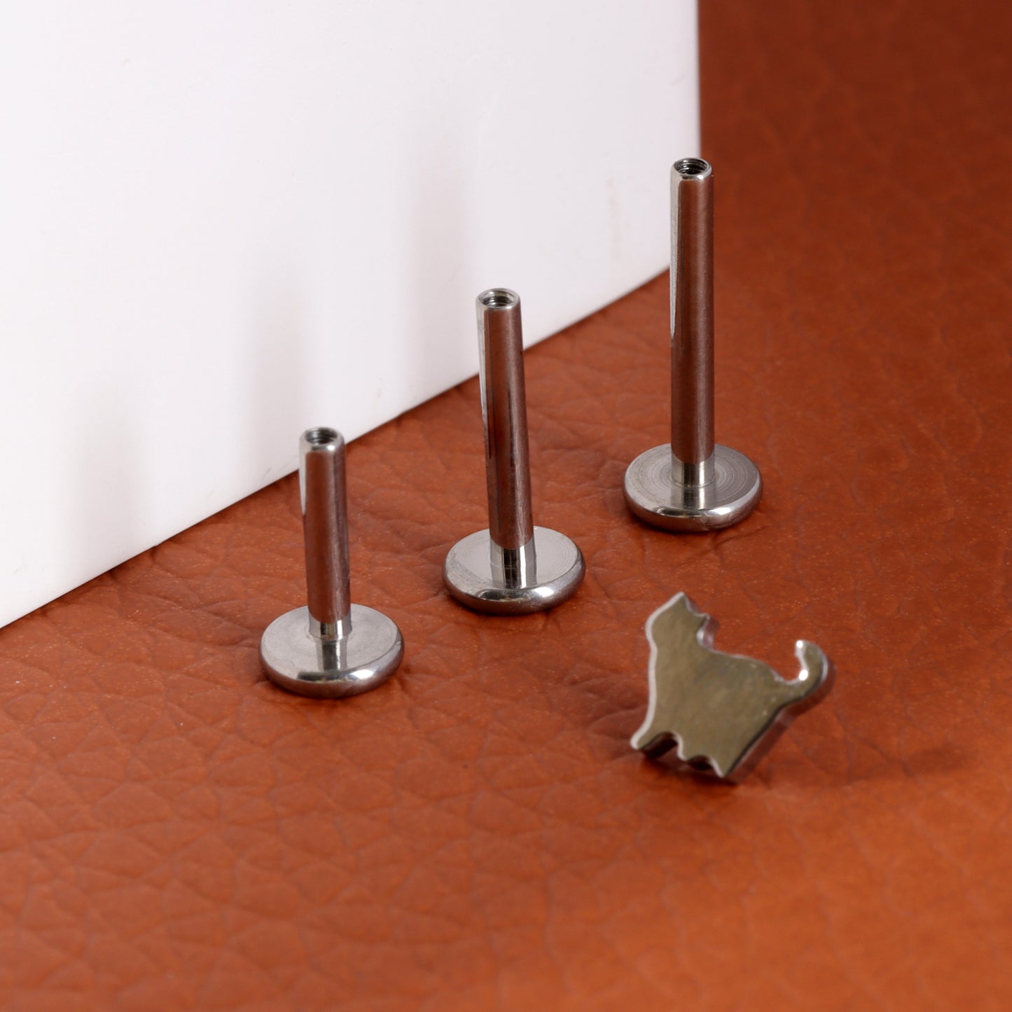 F-136 Titanium Cute Cat Stud Earring, 1.2*6/8/10mm, Internally Threaded Stud, Flat Back Earring, Cartilage Stud, Tragus Stud, Gift Packaged