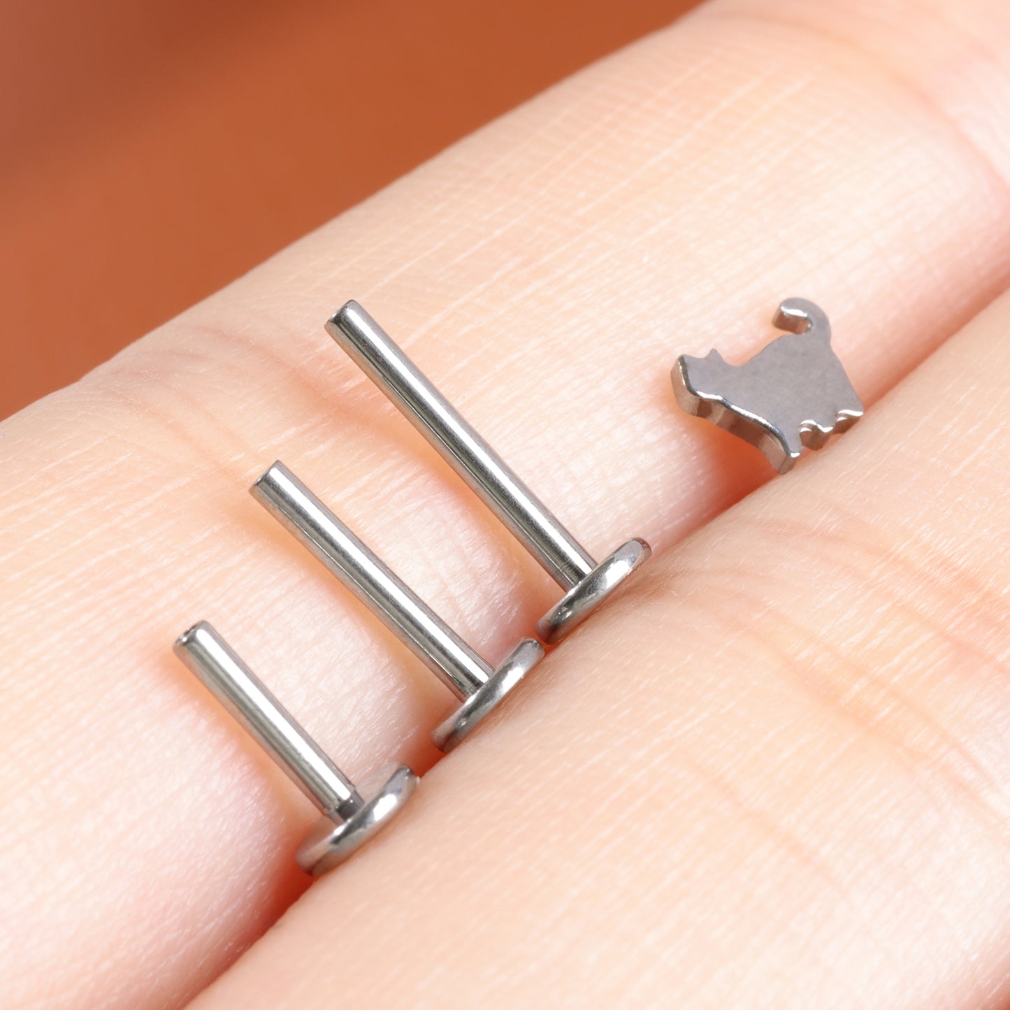 F-136 Titanium Cute Cat Stud Earring, 1.2*6/8/10mm, Internally Threaded Stud, Flat Back Earring, Cartilage Stud, Tragus Stud, Gift Packaged