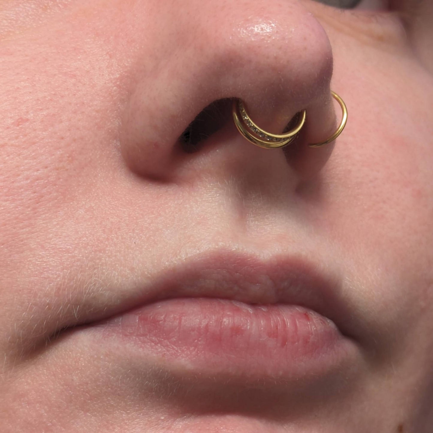 16G Titanium Double Line CZ Septum Ring/ Hinged Segment Design/ Daily Wear Nose Ring/ Gift Packaging