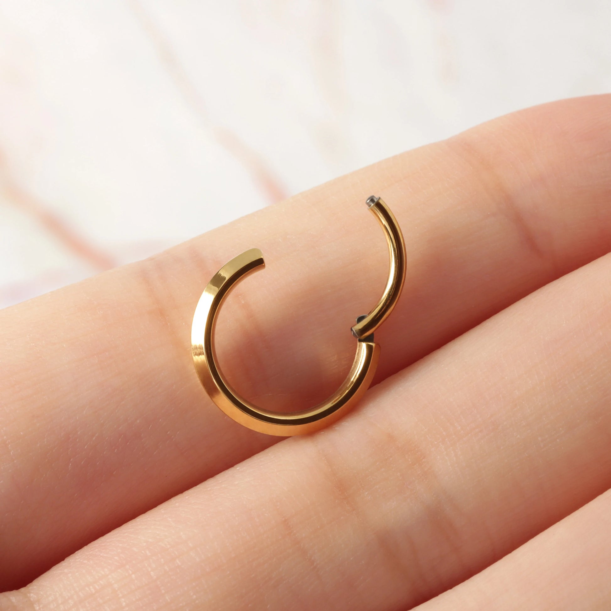 16G F136 Titanium Septum Ring Hinged Segment/ Regular Septum Hoop Hypoallergenic/ Silver Septum Clicker 8mm/ Steel Daith Earring Hoop 10mm Miss Vivi Jewelry