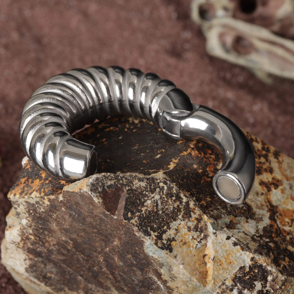 Silvery Ear Weights Hangers with Easy Clasp/ Heavy Earrings for 2G 6mm Stretchered Earlobe/ Steel Plug Earrings/ Ear Gauge Weights Circle